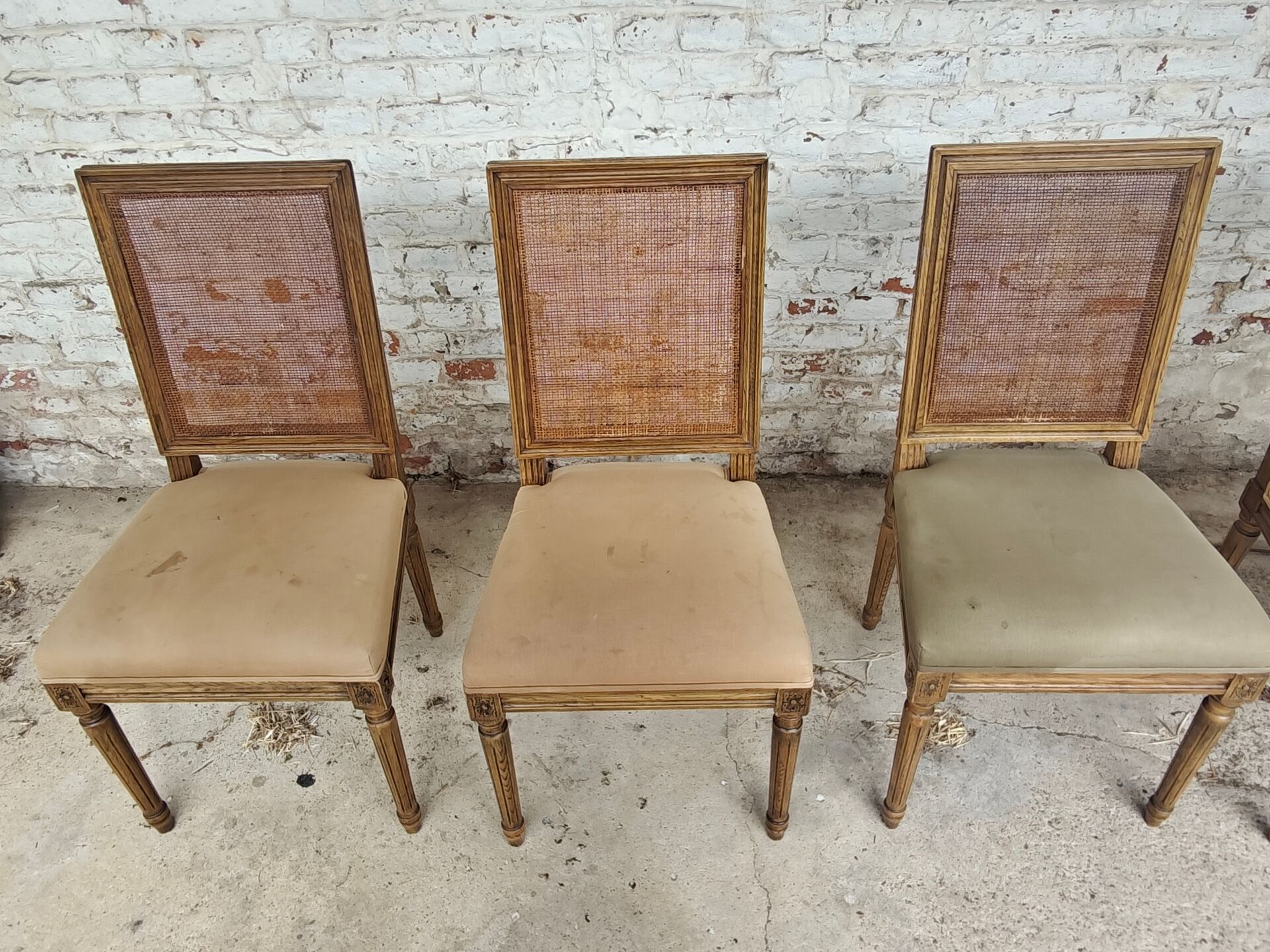 Set of 5 antique wooden and caned chairs.