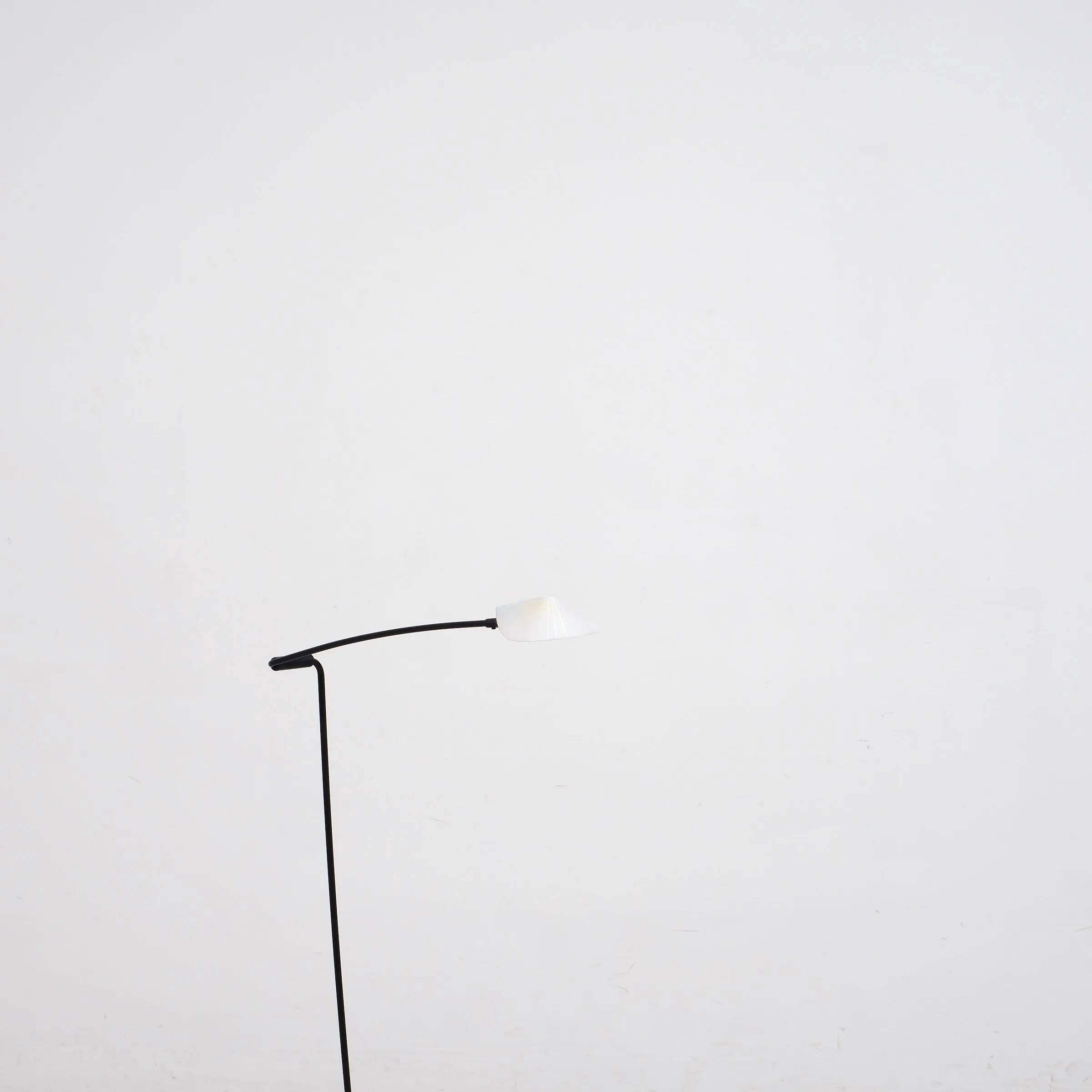 Set of 2 "Ambra" floor lamps by Valenti, Italy