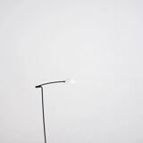 Set of 2 "Ambra" floor lamps by Valenti, Italy