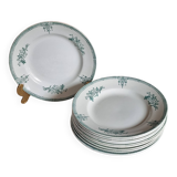 10 assiettes plates Saint Amand 1932