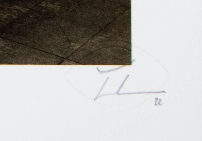 Original lithograph signed by JR: Palais de Tokyo, 2022