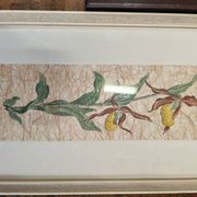 Set of two vintage flower illustrations