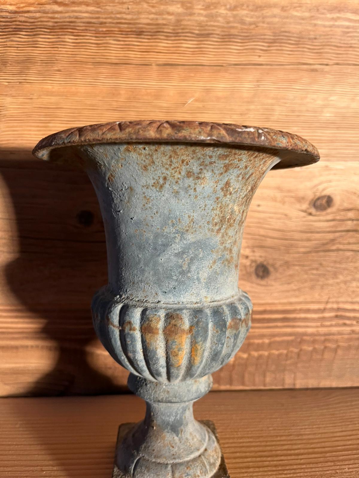 Old Medici vase in cast iron nineteenth century