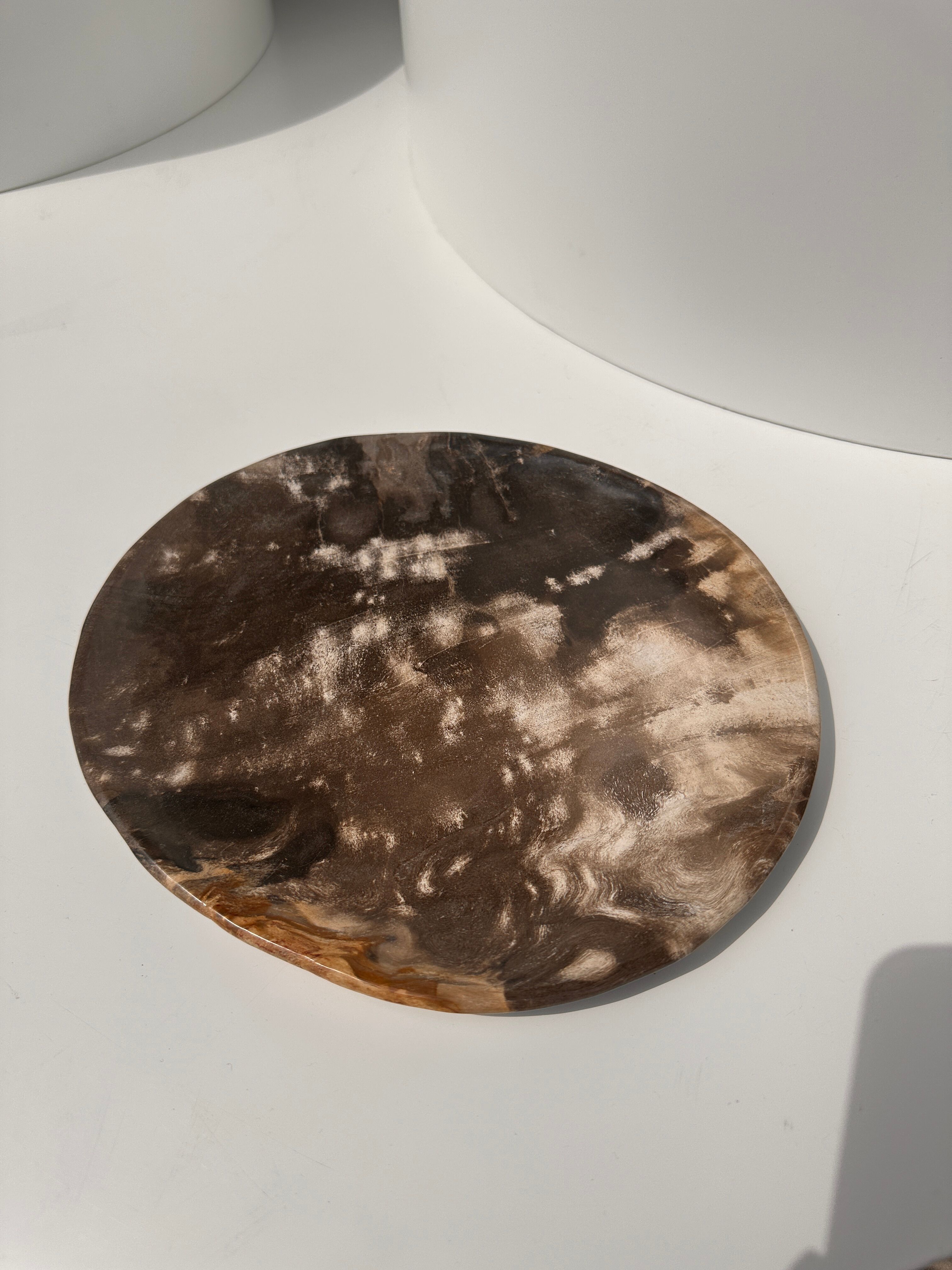 Dish in petrified wood