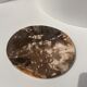 Dish in petrified wood