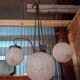 According to Muller: Art Deco chandelier with four lights.