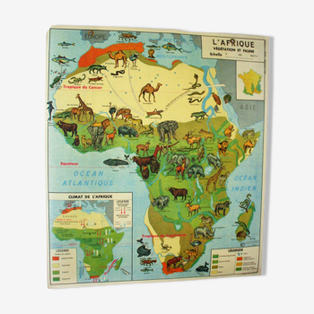 Affiche scolaire Afrique végétation faune l'Europe végétation