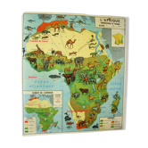 Affiche scolaire Afrique végétation faune l'Europe végétation