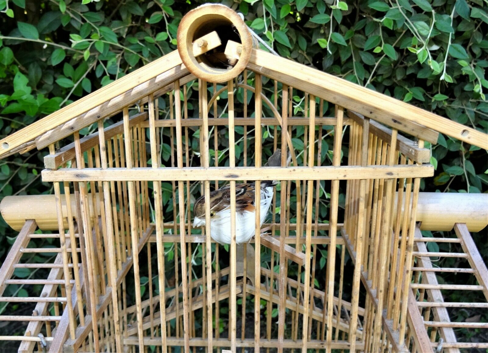 bamboo bird cage form pagoda 1960s - 70