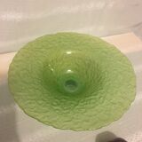 Glass cup and dummy fruit