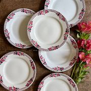 Set of 6 antique flat plates - Saint Amand Céranord