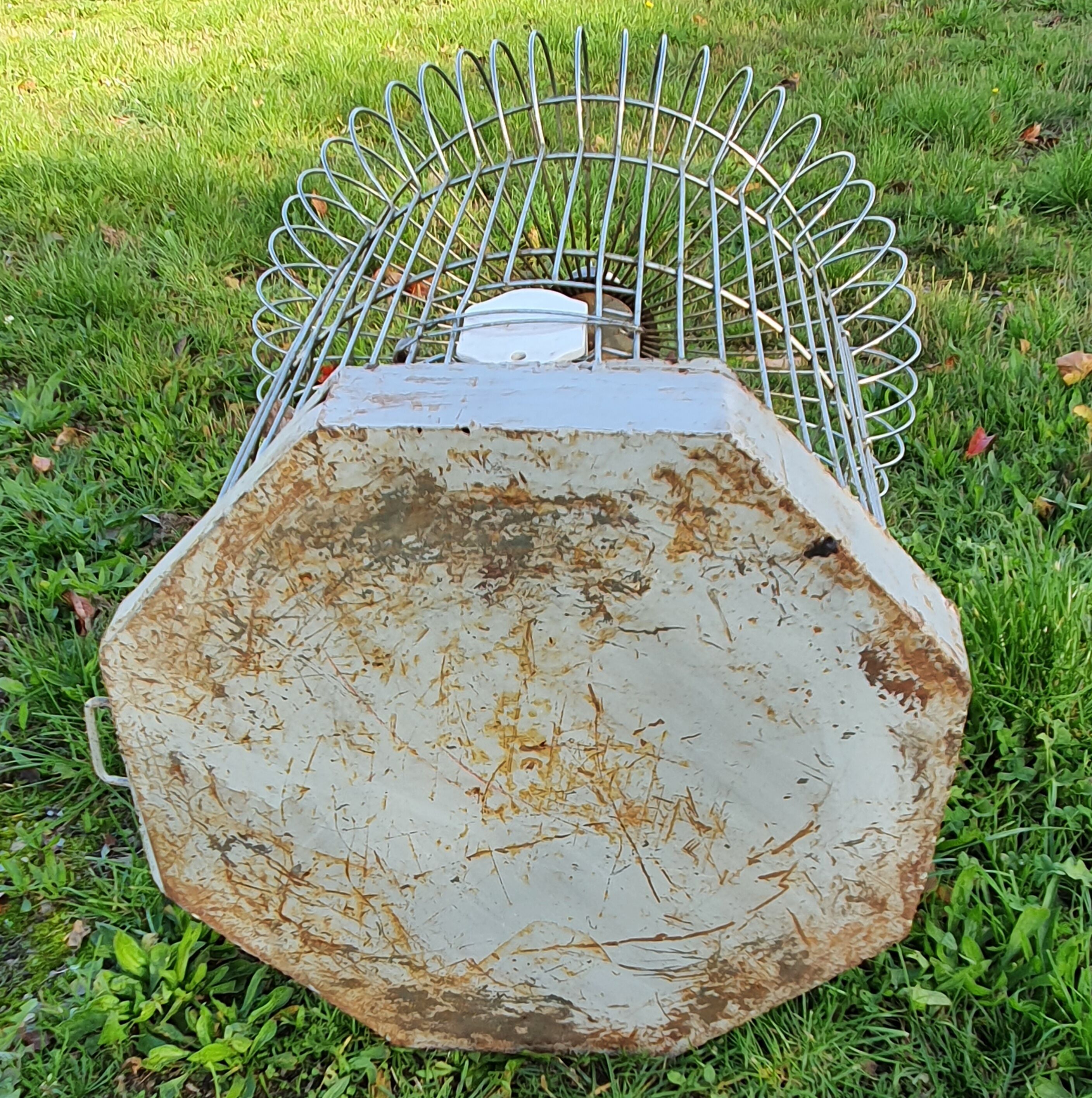 Large old iron parrot cage