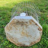 Cage a perroquet ancienne en fer