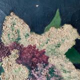 Old painting bouquet of lilacs