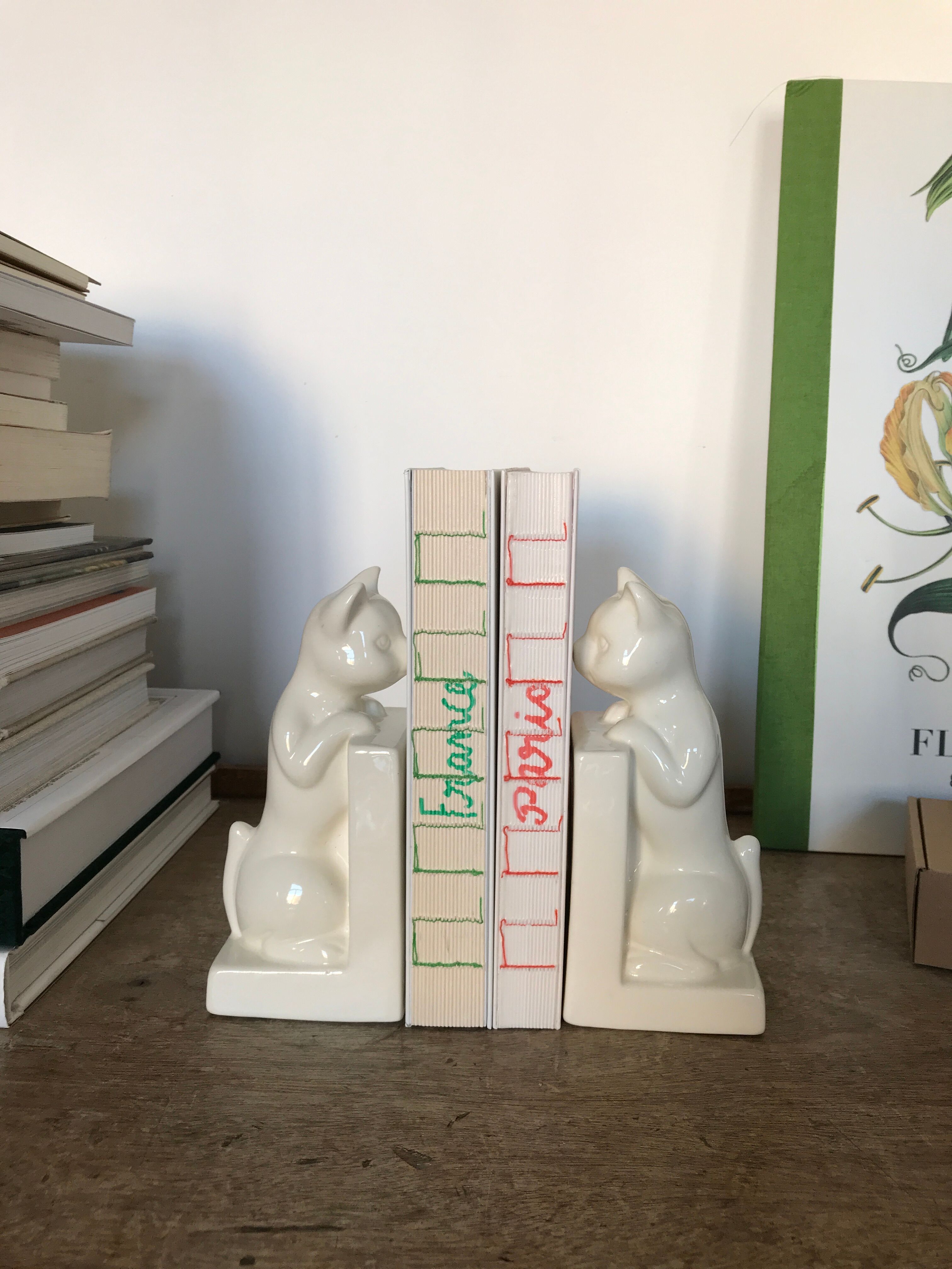 Pair of greenhouses book cat