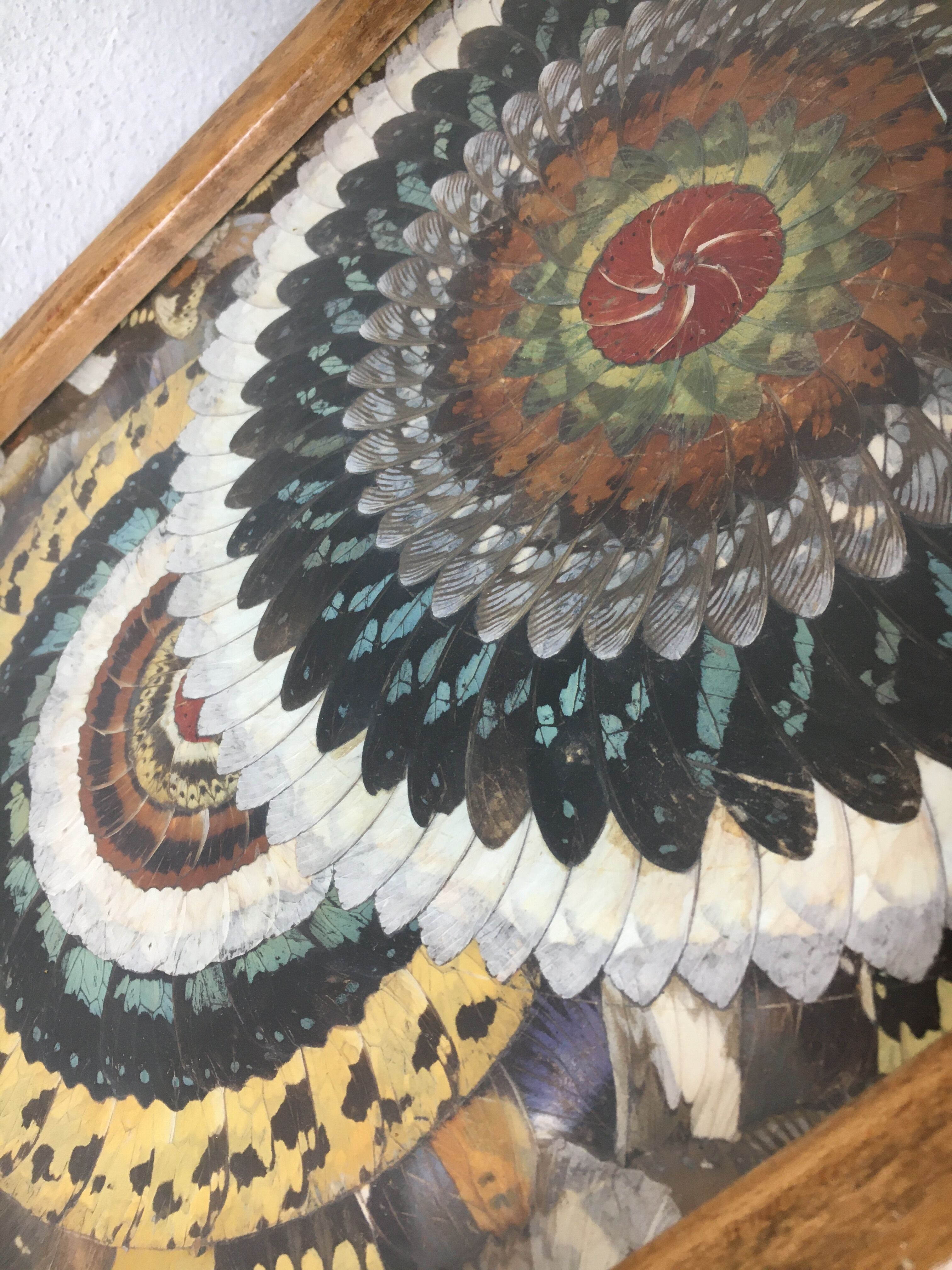 Craft butterfly wings service dish