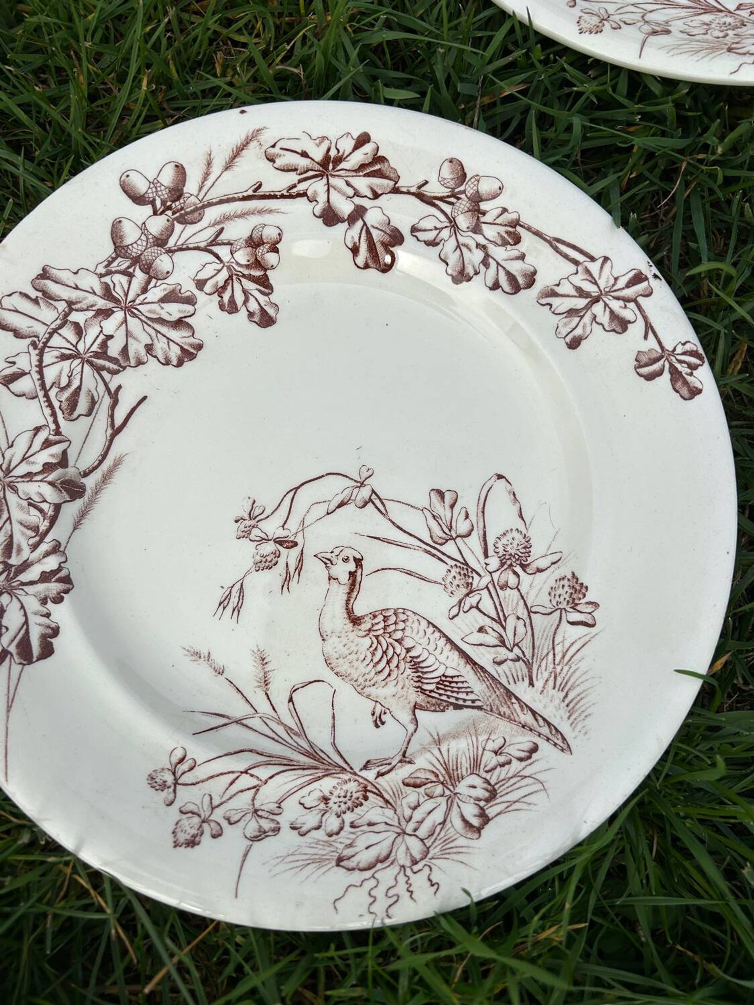 12 assiettes plates en terre de fer modèle Chasse