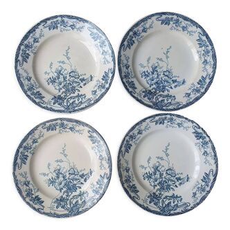 Longwy Azalea plates