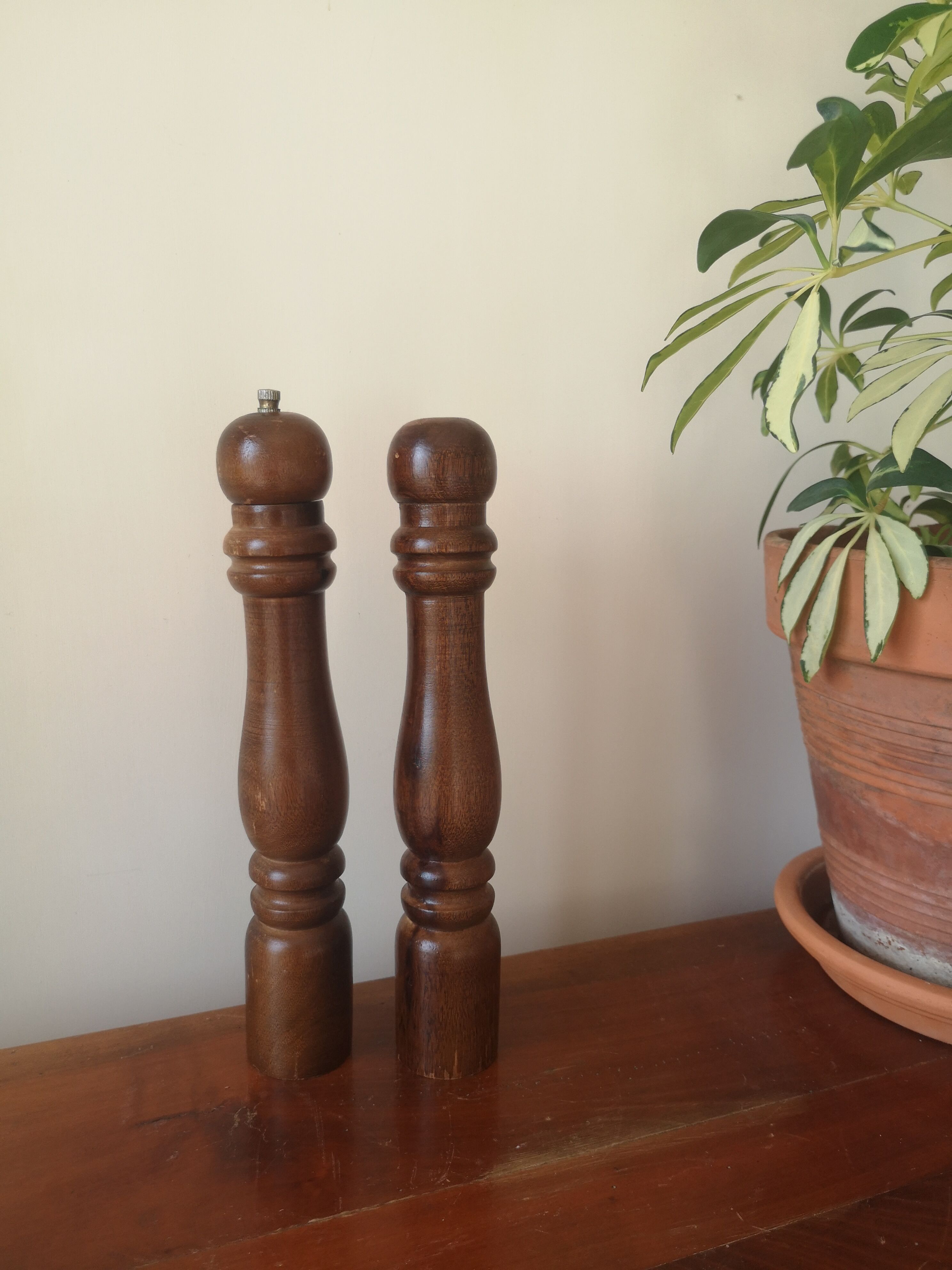Salt and pepper shaker from the 70s