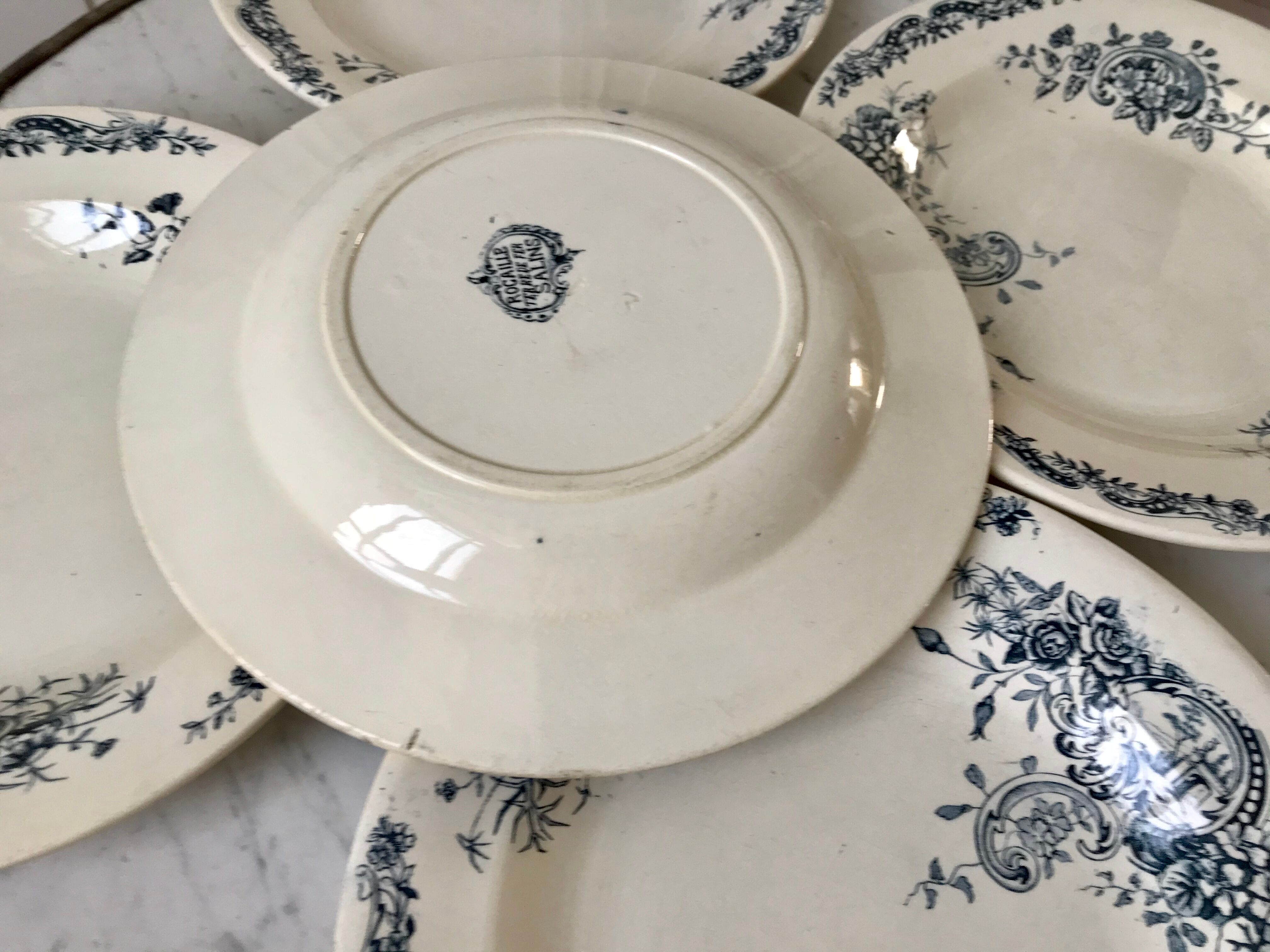 Set of 5 hollow plates Terre de Fer Salins model "Rocaille"