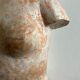 Bust of Aphrodite in the bath after Praxitèle in terracotta 1984