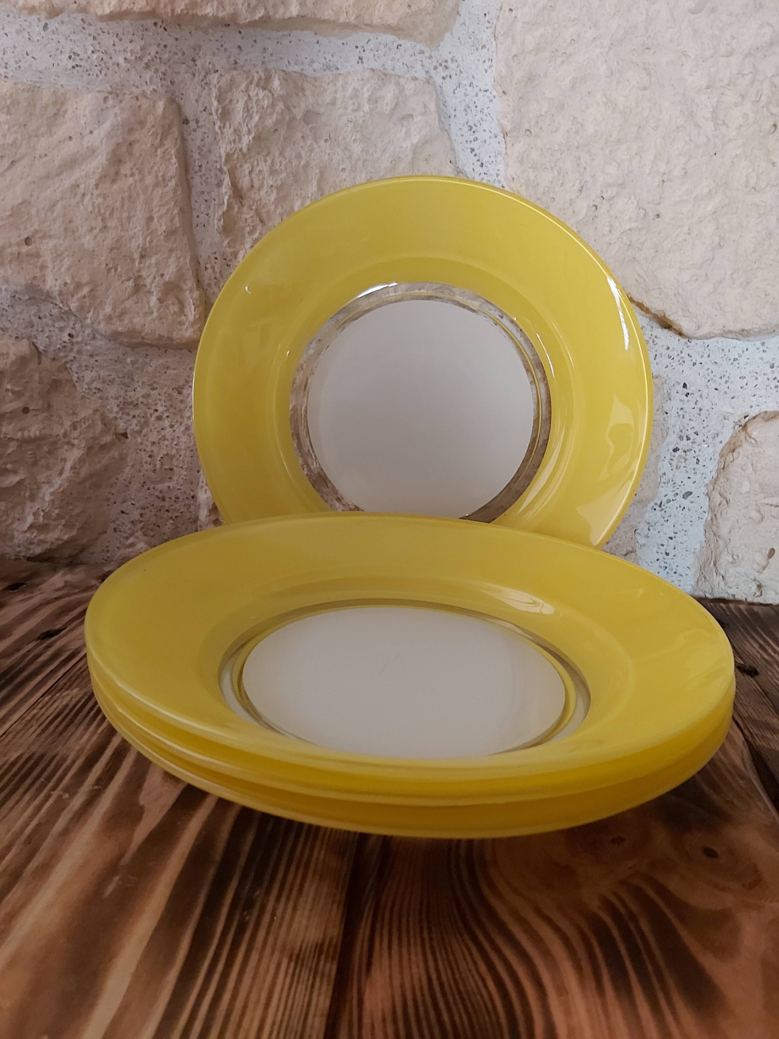 4 Duralex hollow plates