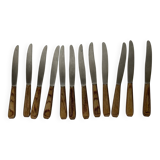 12 wooden handle knives