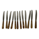 12 wooden handle knives