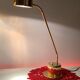 Vintage Collector Brass Floor Lamp