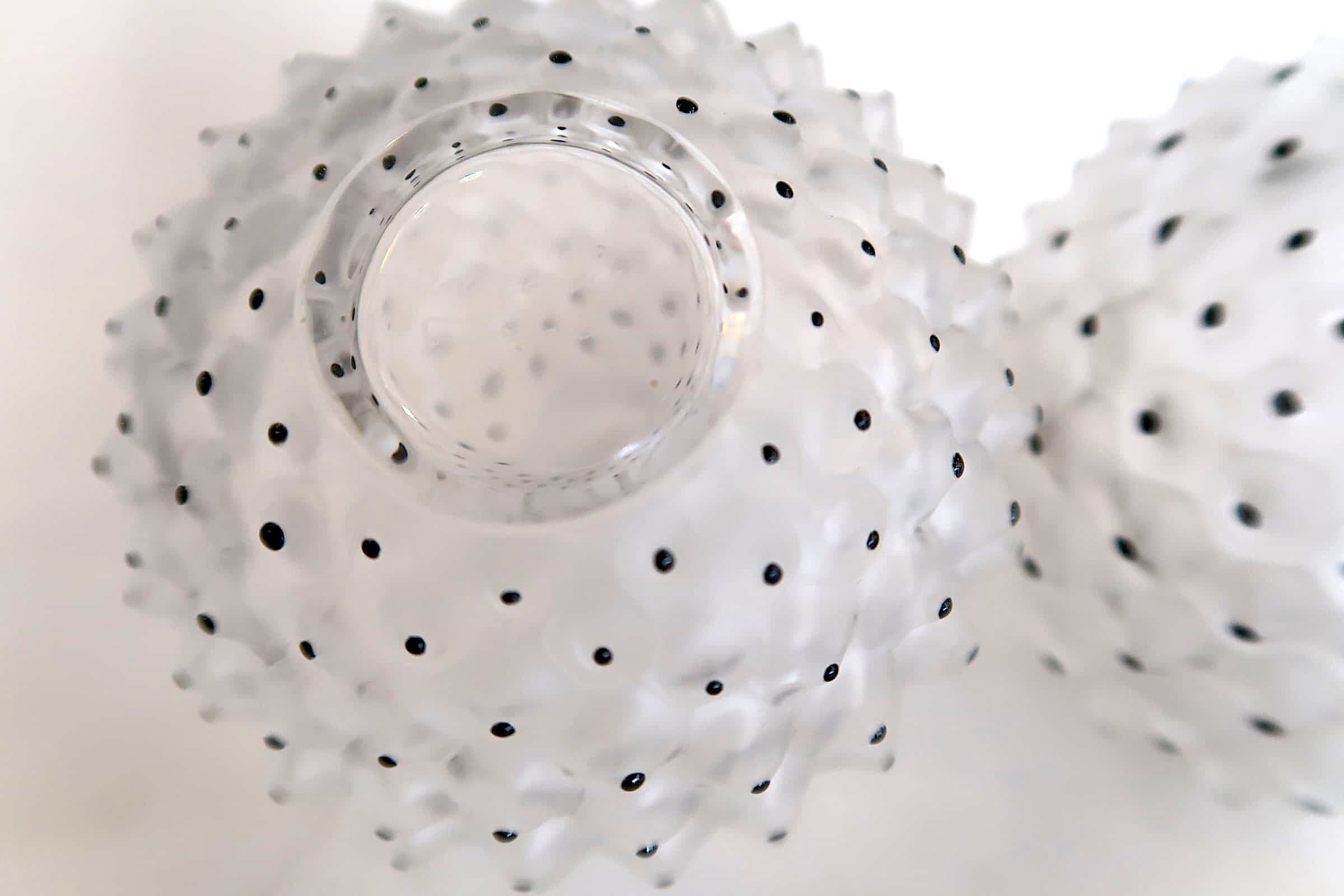 Pair bottles Lalique model Cactus