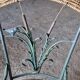 Table ronde en verre & 4 chaises