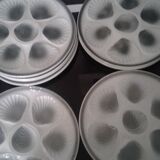 Set of 9 plates of oysters belons