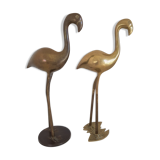 Couple of pink flamingos