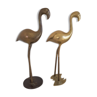 Couple of pink flamingos