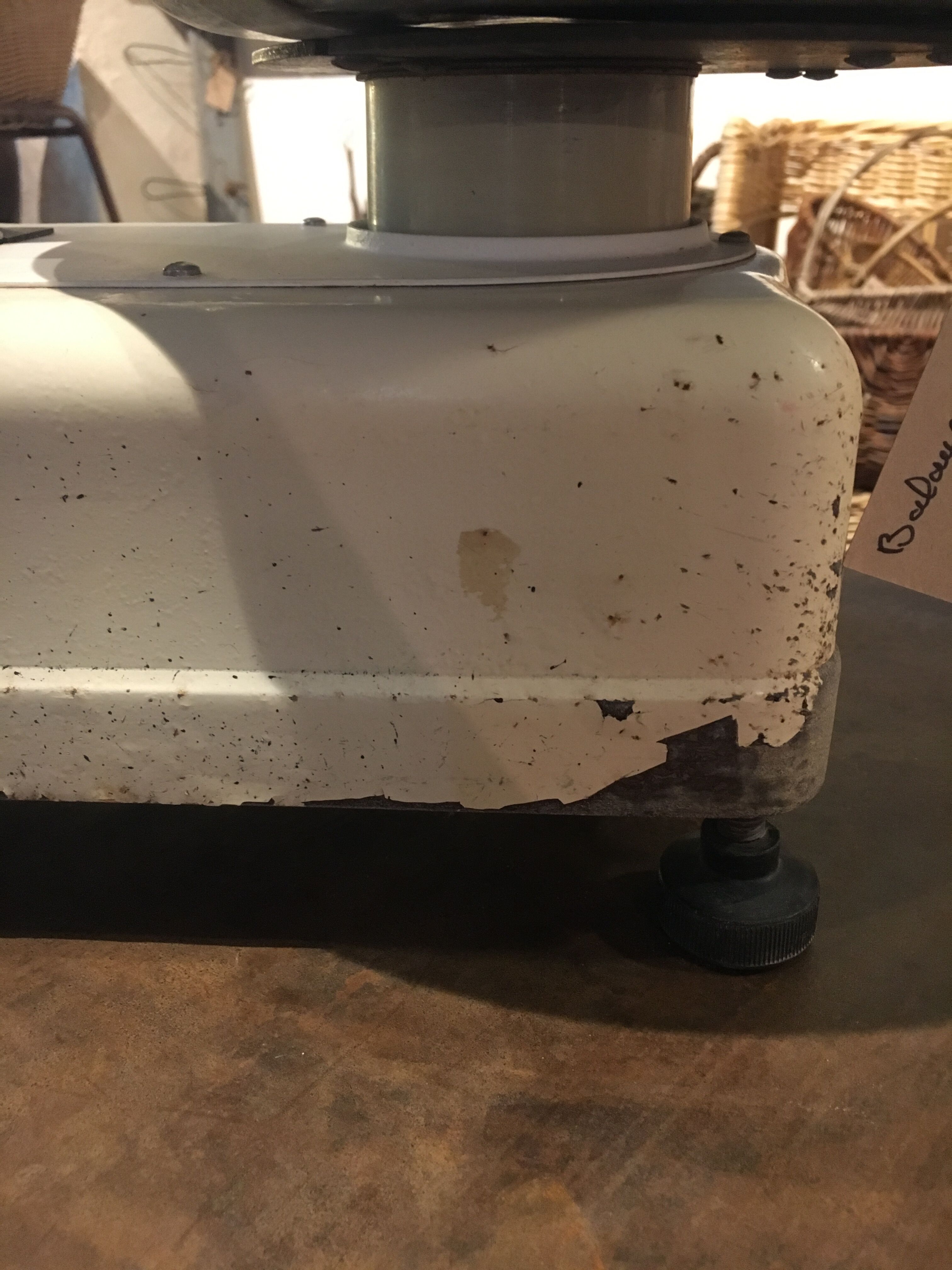 Berkel market gardener's scale