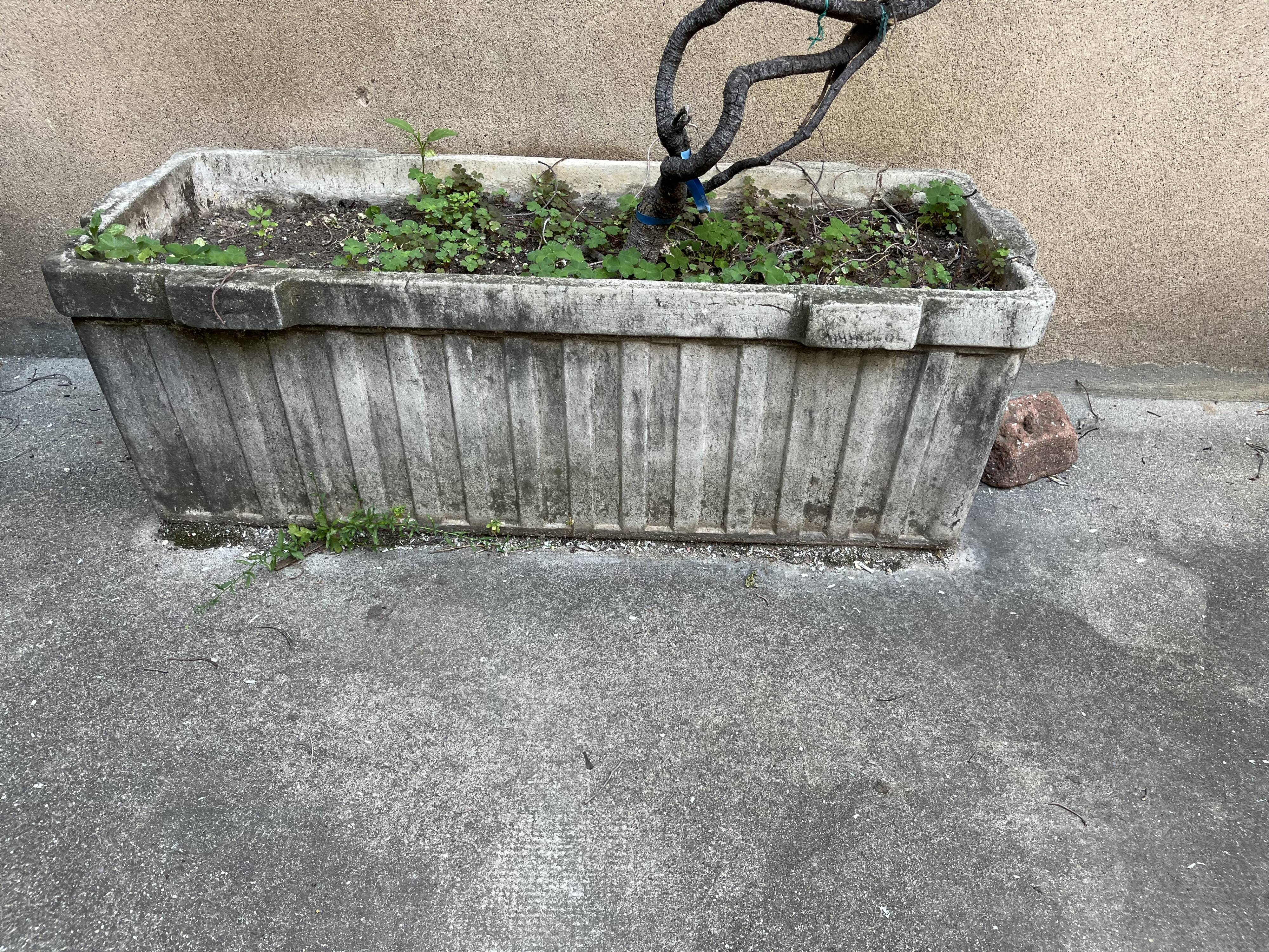 Jardinières anciennes en béton, ciment moulé