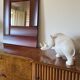 Luciano Frigerio, mod. Tartaro solid padouk mirror, Frigerio di Desio 1970s