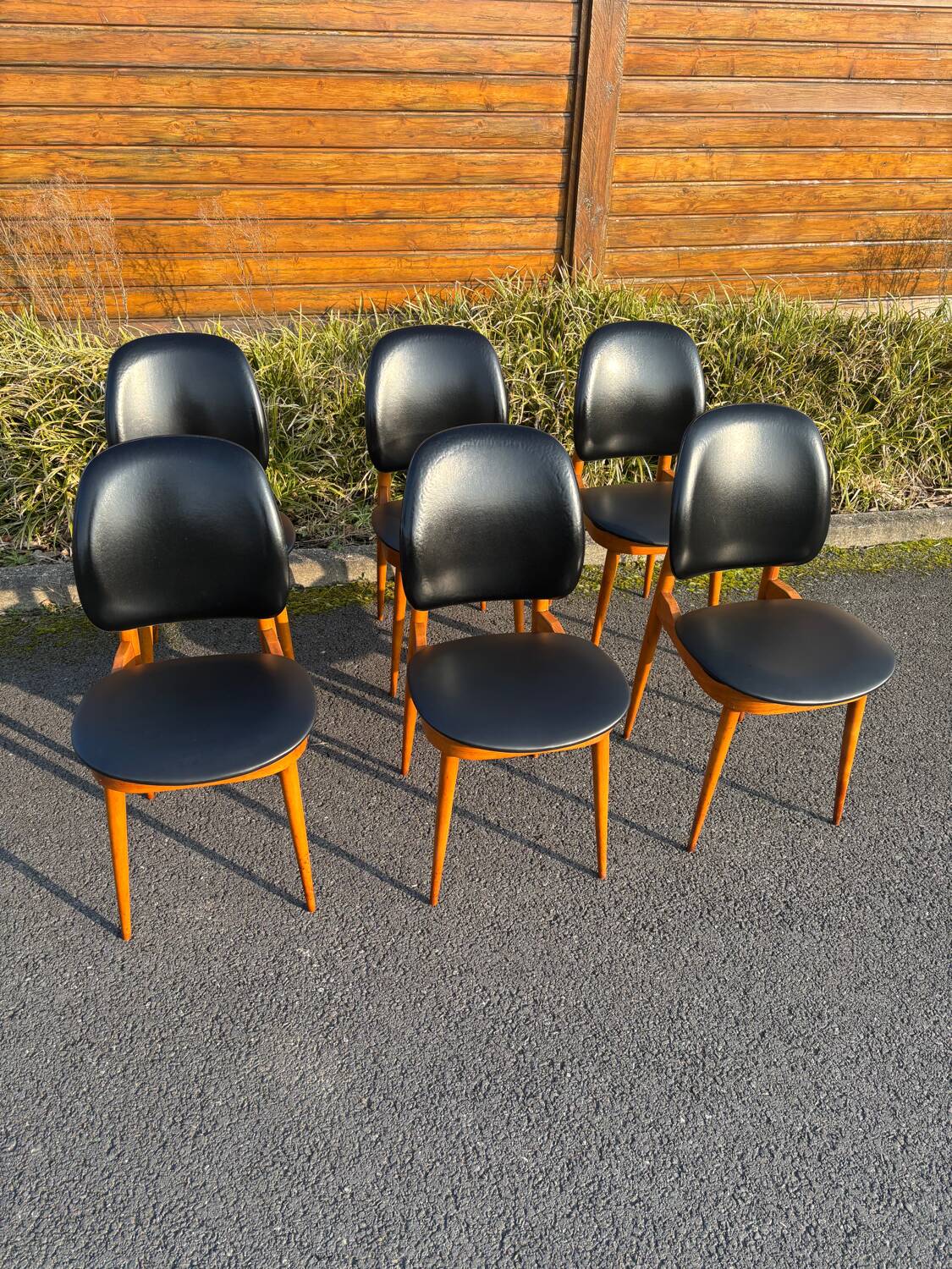 Set of 6 Baumann Pegasus chairs
