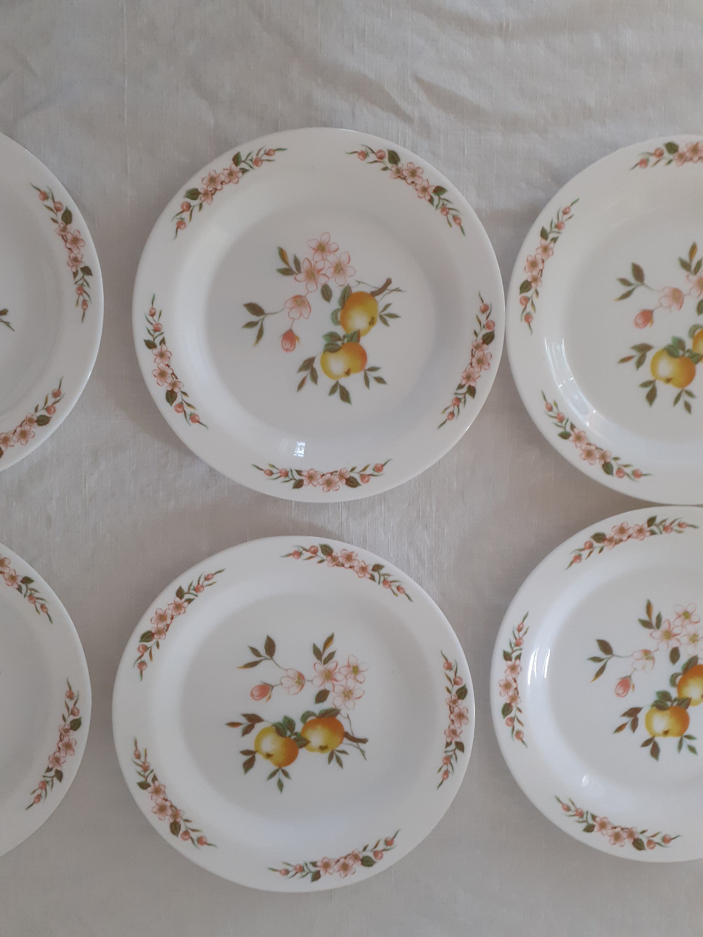 6 Flat plates Normandy apple decoration Arcopal france