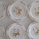 6 Flat plates Normandy apple decoration Arcopal france