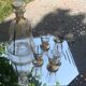 Service a liqueur compose d une carafe et de 4 petits verres à liserés dore