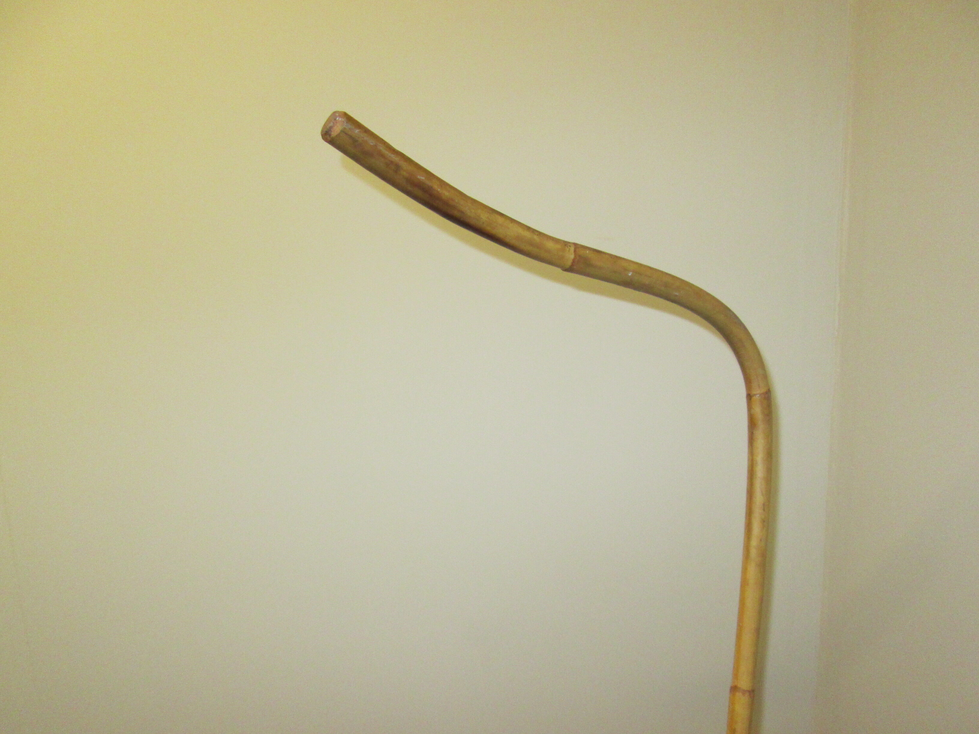 Lacrosse rattan cradle