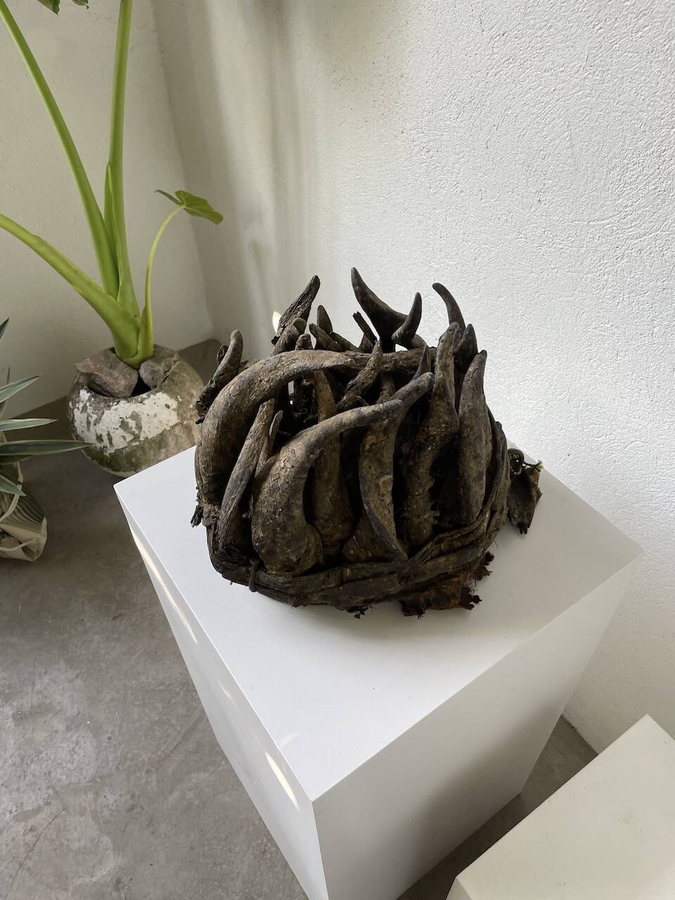 Bété Nyabwa mask Ivory Coast