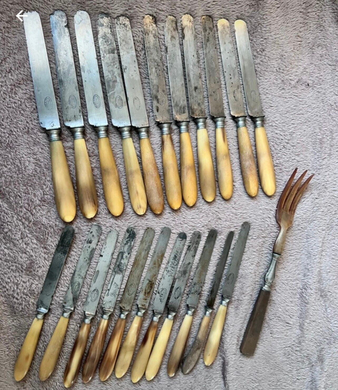 Silver-plated metal steel knives horn ALLEZ FRÈRES