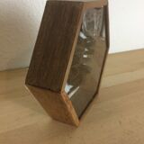 Naturalized mygal spider under hexagonal frame