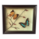 Vintage naturalized butterflies frame - cabinet of curiosities - taxidermy