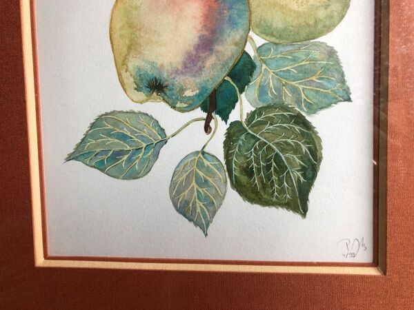 Ancienne lithographie botanique patricia kounakowitch