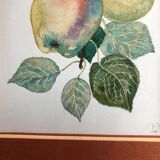 Old botanical lithograph patricia kounakowitch