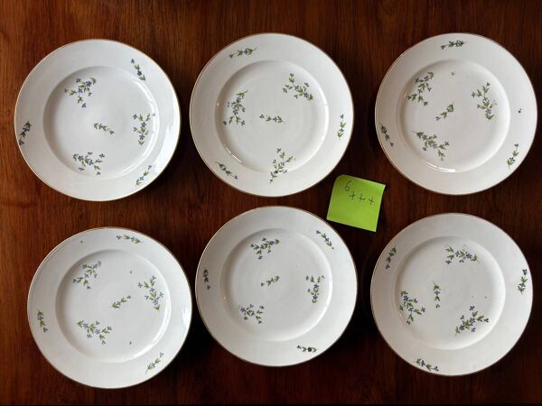 6 assiettes anciennes en porcelaine décor aux barbeaux