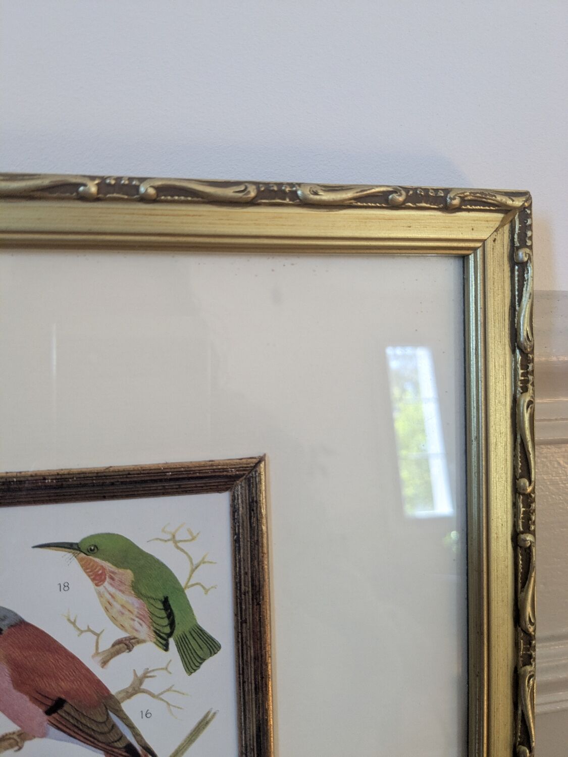 Lithographic frame of birds